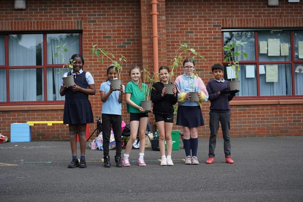 Growing Wilma's Wishes