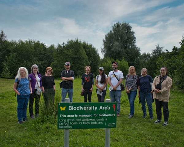 Hidden Heritage  Spotlight:  Havoc Meadows