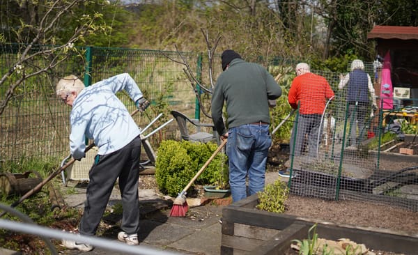 Community Garden Spotlight - Beardmore Community Garden