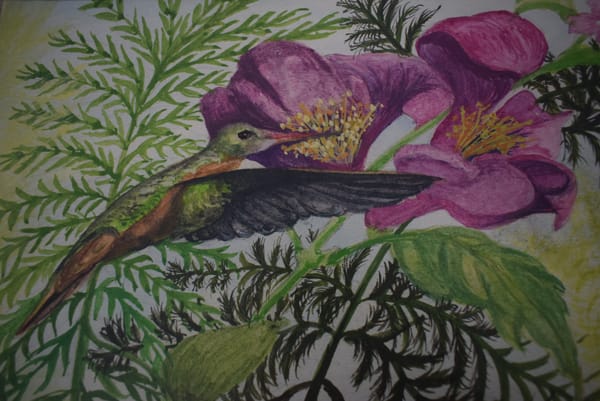 Creativity & Friendship