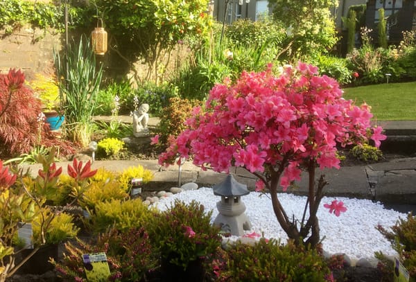 Creativity and Purpose