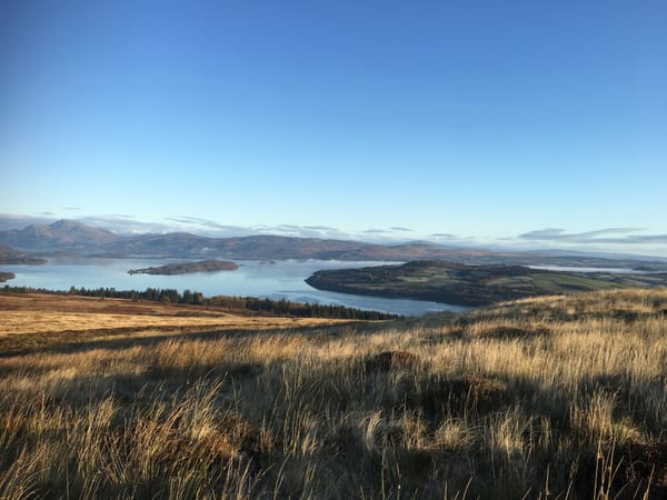 Walk This Way: A Walk For All Seasons