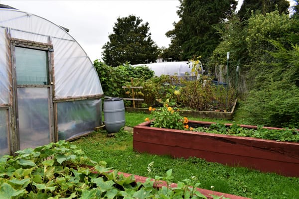 Bumper Crops for Balloch Gardeners