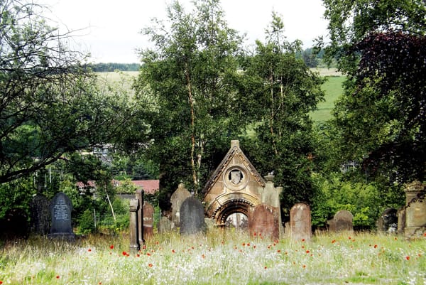 The Vale's Forgotten Gem