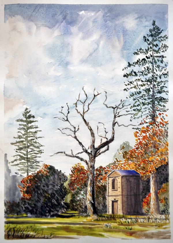 Creative Q&A - Euan Greenoak